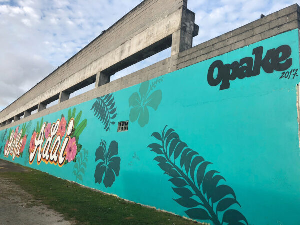 드라이브 하다 들러 보자! 괌의 스케이트보드 파크